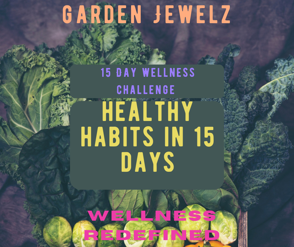 Healthy Habit in 15 days E-Book